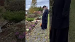 Духовная телеграмма «Из города в деревню», 5 ноября 2025