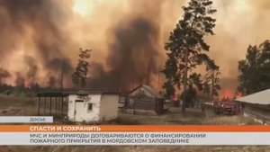 МЧС и Минприроды договариваются о финансировании пожарного прикрытия в Мордовском заповеднике