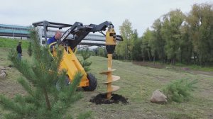 Мини-Погрузчик BAUMECH ML-02 PRO на посадке деревьев. Ландшафтные работы. Гидровращатель