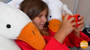 Мошенники в игры не играют. Они деньги воруют. Доброе утро. Фрагмент выпуска от 06.11.2025