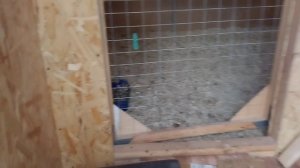 ЖИЗНЬ В ДЕРЕВНЕ. Готовимся к холодам.