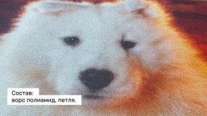 Орион 050.61 видео