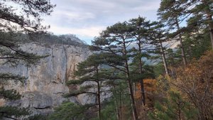 06-11-2025  прогулка по Доллосам