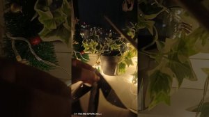 ____ ПОСЫЛКА с Ozone 🎄☃️❤️🔥