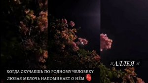 ❤️🥀Очень красивая мелодия _ ❤️🩹🧿