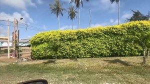 Лайфстайл в Абиджане.🍍 С праздником!