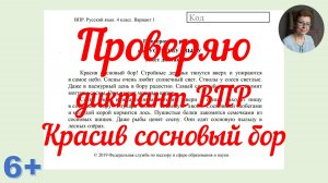 4 класс. Проверяю диктант ВПР 4 "Красив сосновый бор"