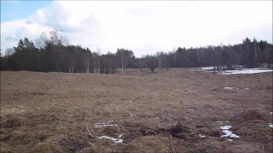 АРХИВ. Урочище с монетами