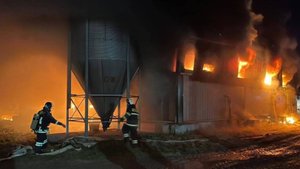 Крупнейший свинокомплекс сгорел до тла в Сахалинской области