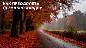 Как жители Югры справятся с осенней хандрой