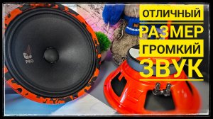 DL Audio Gryphon pro 250 Громкие и мощные динамики