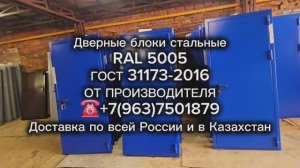 Сертифицированные дверные блоки утеплённые дсн (дсв, дсуз, 2дсу)  RAL 5005, ГОСТ 31173-2016 с завода
