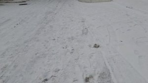 134 # 06.11.2025г. Наступает зимуушка...зима...☃️☃️☃️❄️❄️❄️