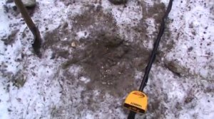 АРХИВ. Субботняя прогулка в лес.