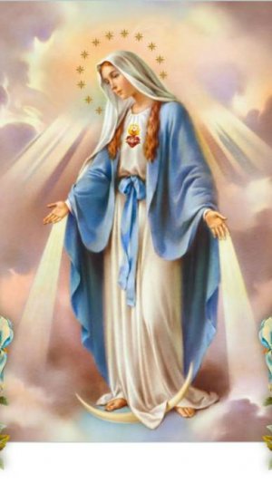 2025. КАТОЛИКИ ОТКАЗАЛИСЬ ОТ ДОГМАТА «СОИСКУПИТЕЛЬНИЦЫ». Ватикан очнулся. Мнение А.РОЖИНЦЕВА