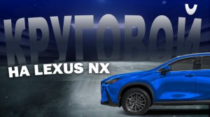 Круговой обзор на Lexus NX 2024 года в штатную магнитолу