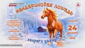 Запряги удачу в упряжку «Мандариновой лошади» и получи свой волшебный подарок!