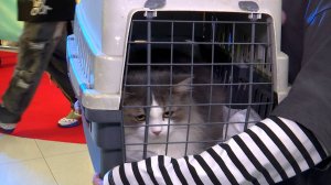 Шанс на новую жизнь