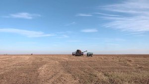 новости   061125