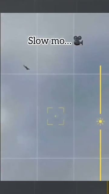 Ракета ПВО сбивает Гераньку