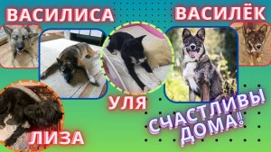 Чудеса, возможные благодаря Вам! Якутята дома!