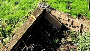 Случайна заметили подземный вход.