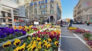 Впечатляющий Утренний Рынок В Цюрихе, Швейцария🇨🇭Пешая Экскурсия В Прекрасный Солнечный День