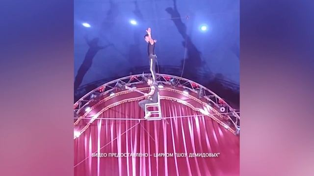 день за днем 05.11.2025 цирк - Шоу Демидовых