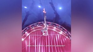 день за днем 05.11.2025 цирк - Шоу Демидовых