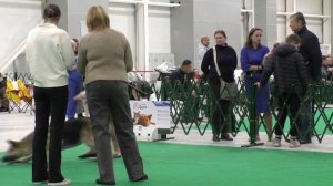 Класс чемпионов. Стивит Армаст Угроза