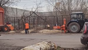 Осеннее прореживание порасли на улице Адмирала Нахимова