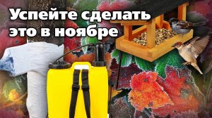 План работ для садовода на ноябрь