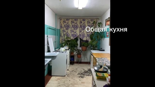 Продам комнату в общежитии Белгород улица 5 Августа смотреть онлайн