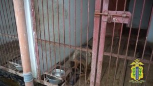 02.11.2025 "02 сообщения и комментарии"