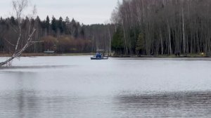 Запуск форели