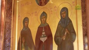 «Источник жизни» (Нижний Новгород). Выпуск от 7 ноября 2025