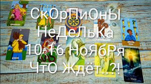 #СКОРПИОН НЕДЕЛЯ 10-16 НОЯБРЯ ТАРО-ПРОГНОЗ 💖#ГаданиеНаБудущее #ТароПрогноз #ТароНеделя#ТароГадание
