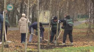 Высадка деревьев на Космонавтов