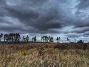 "РИТМЫ ОСЕННКГО СЕЗОНА"... (Фото Игнатия СОЛОВЬЁВА (Тула), музыка Ильи БЕШЕВЛИ (Красноярск)