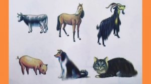 Игра-Назови-одним-словом