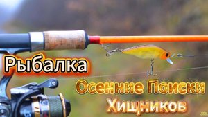 ОСЕННИЕ ПОИСКИ ХИЩНИКА НА ПОИМКУ ЩУКИ ОКУНЯ СУДАКА НОЯБРЬ РЫБАЛКА НА ВОБЛЕРЫ ОТВОДНОЙ