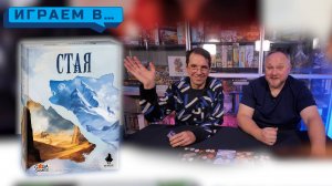 Играем в СТАЯ