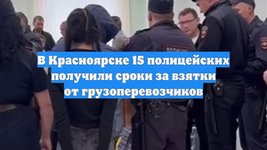В Красноярске 15 полицейских получили сроки за взятки от грузоперевозчиков