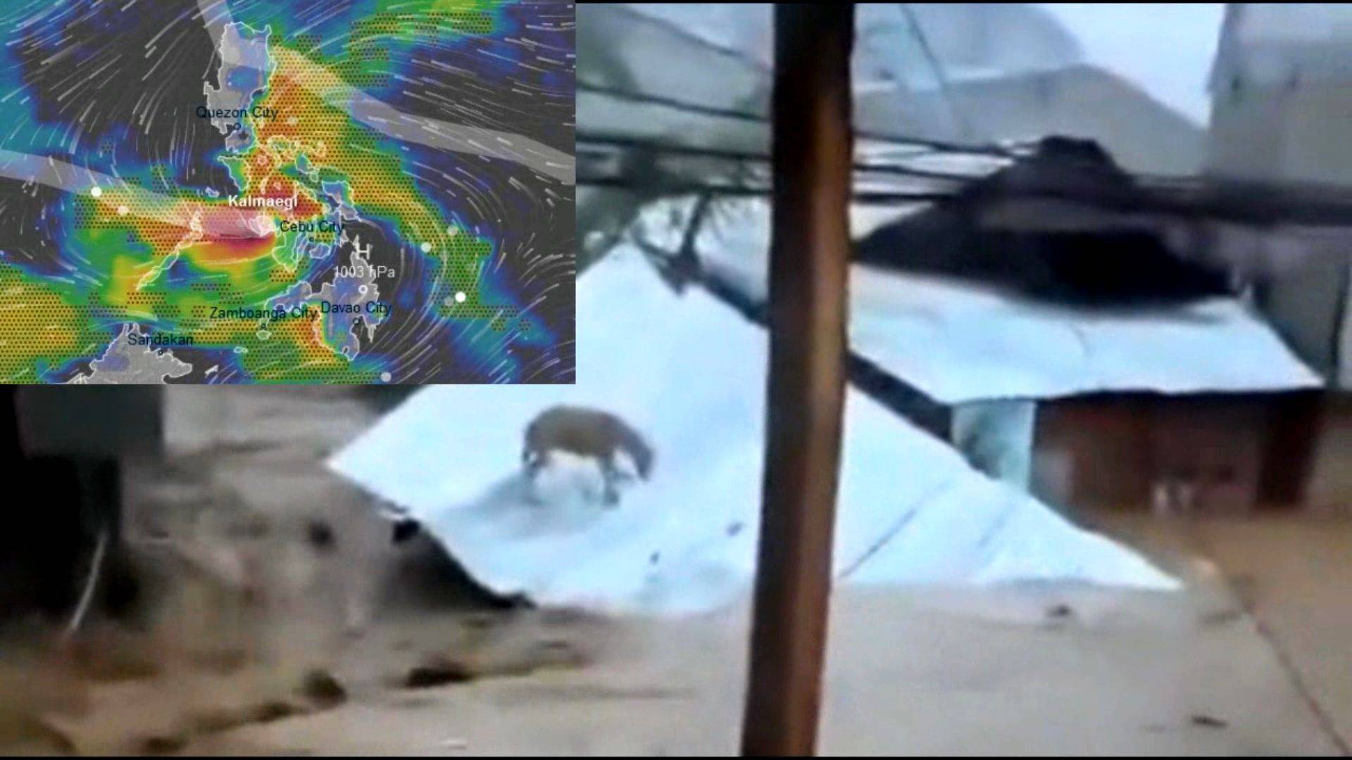 Последствия тайфуна «Калмаэги» на Филиппинах 4 ноября 2025 года