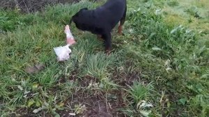 Переселились из летней кухни в дом. Как обустроились. Как это было 8 серия.