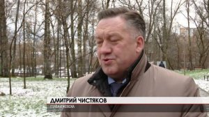 Березовая роща 06.11.2025