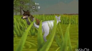 Мини фильм Wildcraft "Демонша" 4 серия