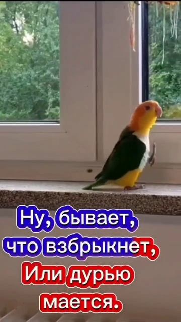 С добрым утром! 🙂 смотреть онлайн