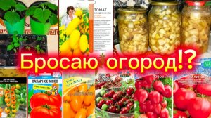Решила бросить огород.🙁 Что растёт на окне? Болталка.