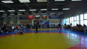 Турнир памяти Мовсисяна К.С. 2025г. 41 кг. Арушанян Родион (Новокубанск)-Рубаев Астемир (Краснодар)